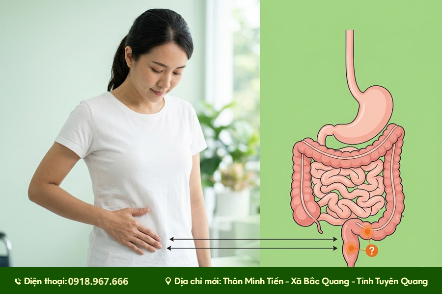 u trực tràng đại tràng và dấu hiệu cần theo dõi