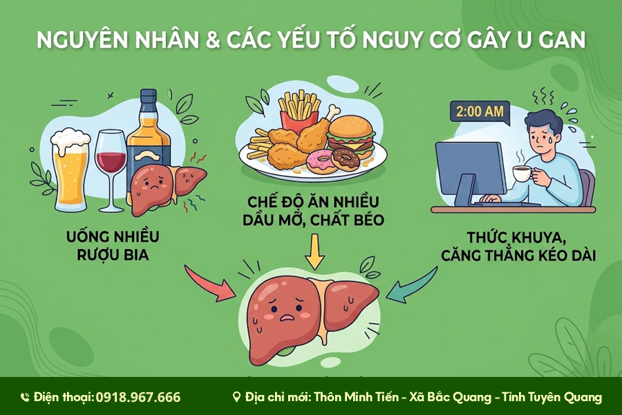 vị trí lá gan trong cơ thể