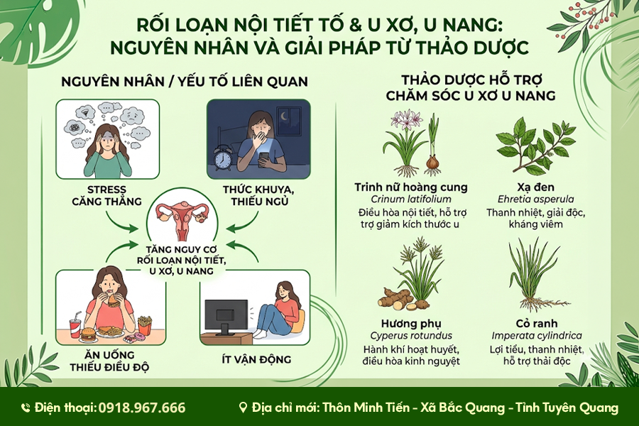 Nguyên nhân gây u xơ - u nang
