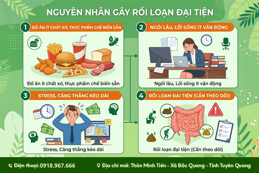 Nguyên nhân gây u đại tràng - trực tràng