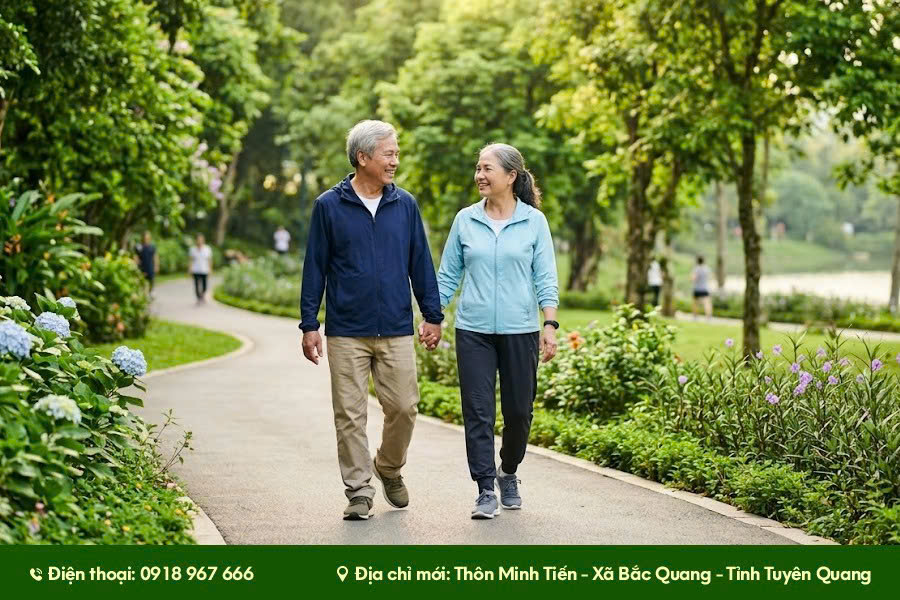 Vận động nhẹ để cơ thể linh hoạt hơn